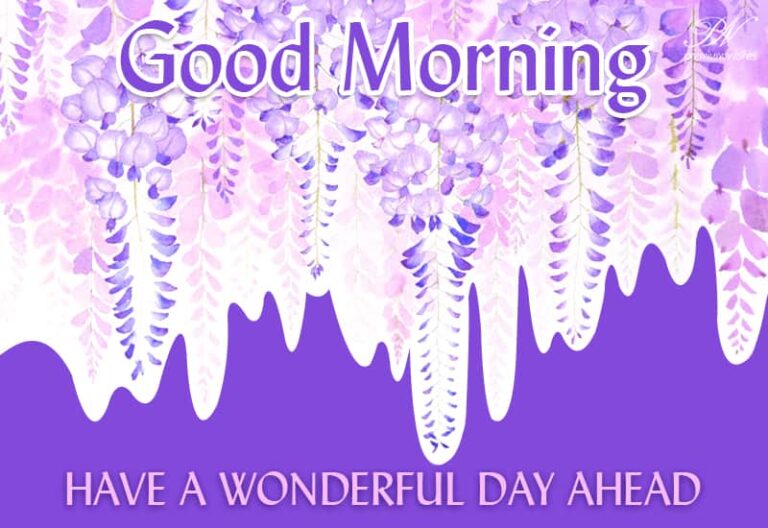Good Morning – Have a wonderful day ahead friends