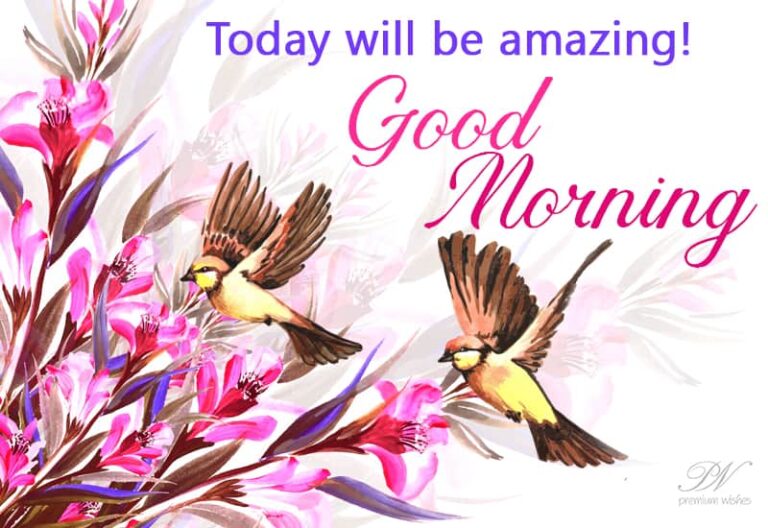 Good Morning – Today will be amazing Good Morning – Today will be amazing
