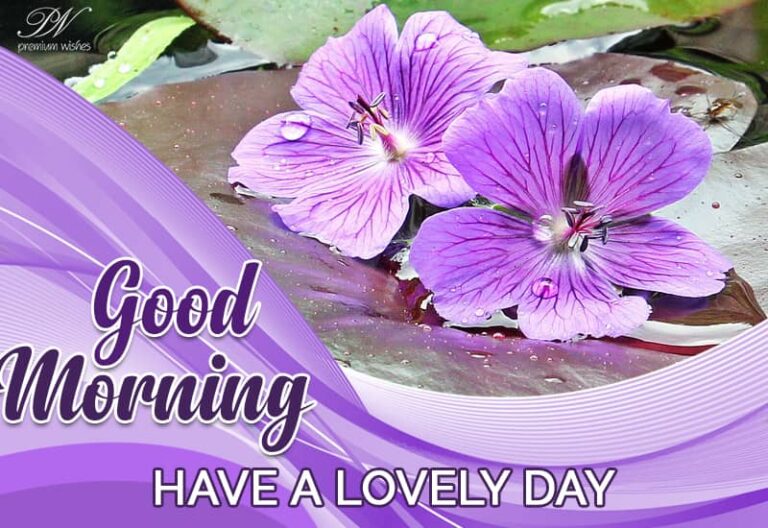 Good Morning – Have a lovely day amongst nature