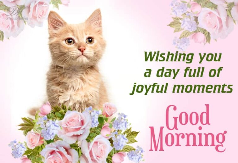 Good Morning – Wishing you a day full of joyful morning Good Morning – Wishing you a day full of joyful morning