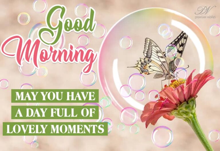 Good Morning – May you have a day full of lovely moments Good Morning – May you have a day full of lovely moments