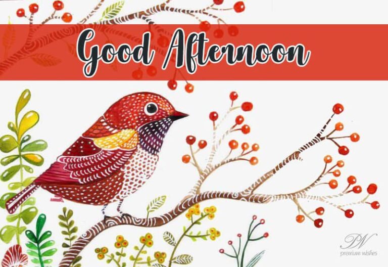 Good Afternoon Wishes
