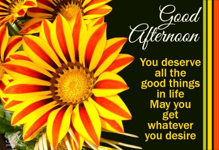 Good Afternoon Wishes
