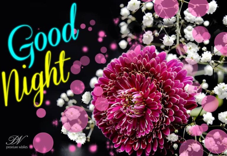 Good Night Wishes