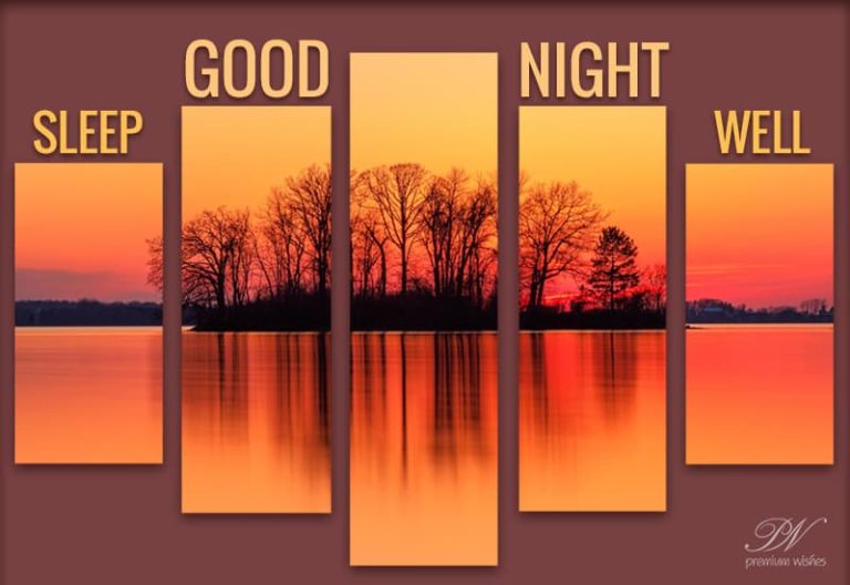 Good Night Wishes