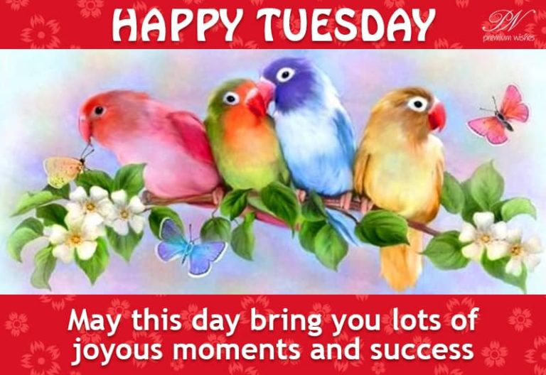 Happy Tuesday – May this day bring you lots of joyous moments and success Happy Tuesday – May this day bring you lots of joyous moments and success