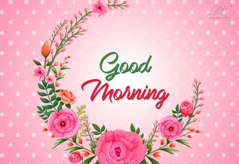 Friends Good Morning – Live in the beauty of nature Friends Good Morning – Live in the beauty of nature