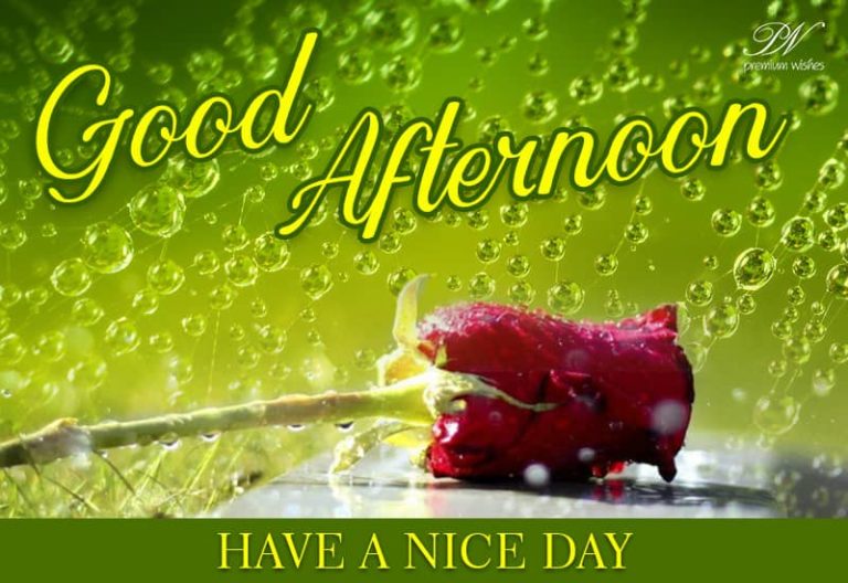 Good Afternoon Wishes