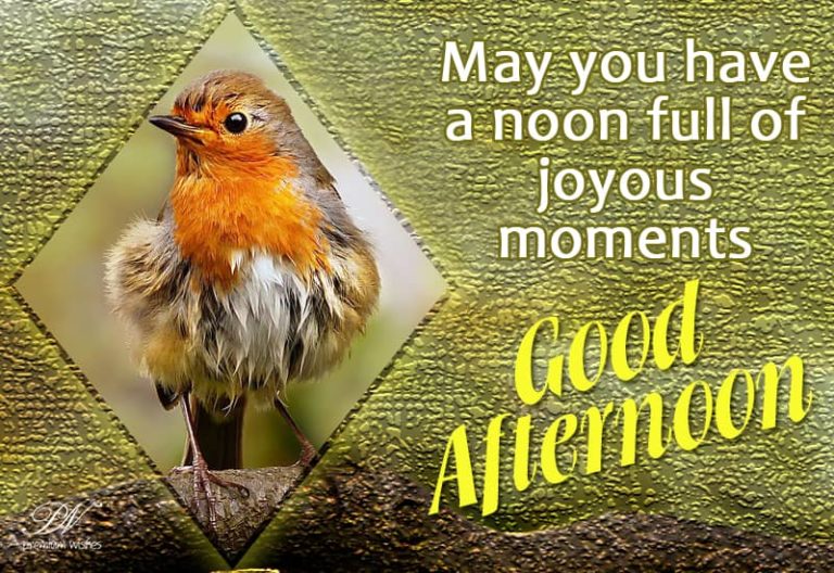 Good Afternoon Wishes