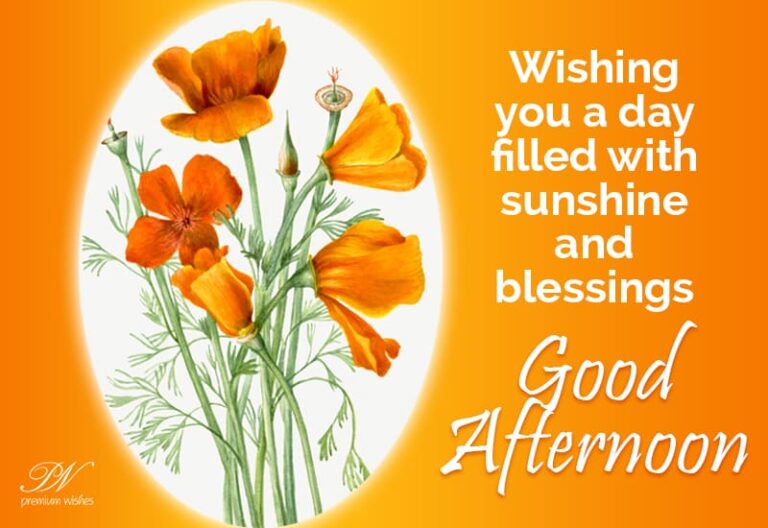 Good Afternoon Wishes