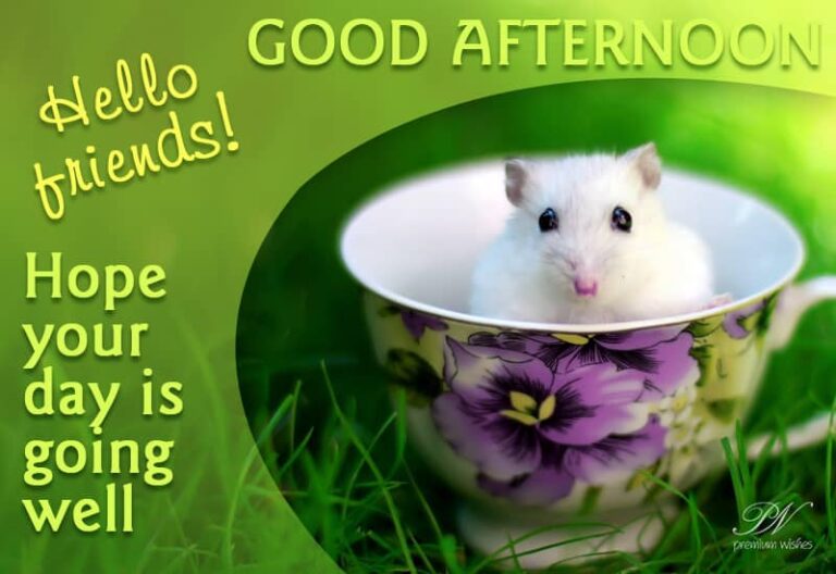 Good Afternoon Wishes