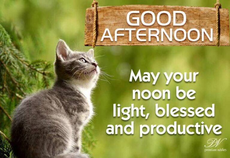 Good Afternoon Wishes