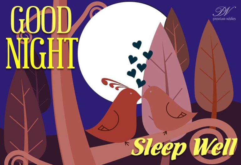 Good Night Wishes