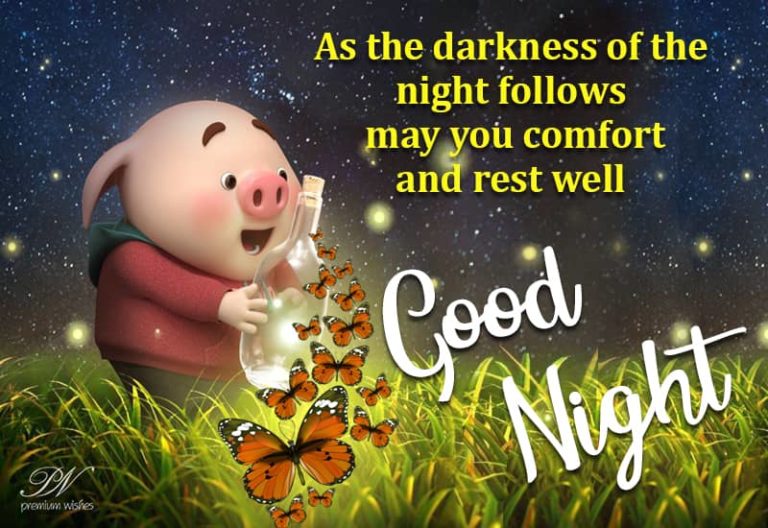 Good Night Wishes