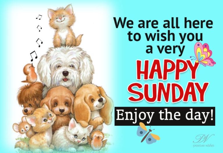 We all are here to wish you a Happy Sunday – enjoy the day We all are here to wish you a Happy Sunday – enjoy the day