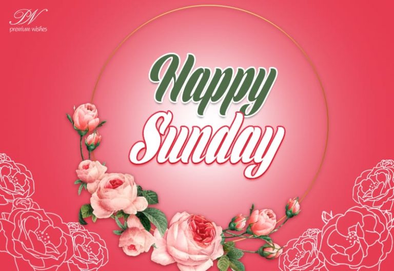 Wishing you happy Sunday – Enjoy the roses Wishing you happy Sunday – Enjoy the roses