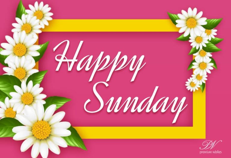 Happy Sunday – Good Morning Friends – Hope you are all doing fine Happy Sunday – Good Morning Friends – Hope you are all doing fine