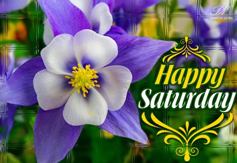 Happy Saturday – Hope you have a satisfying weekend Happy Saturday – Hope you have a satisfying weekend