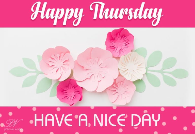 Happy Thursday – Friends have a nice day ahead