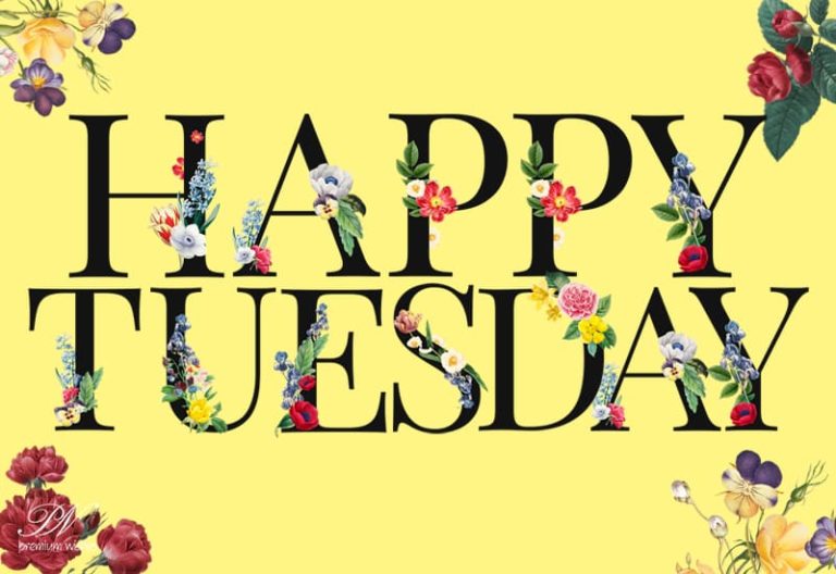 Good Morning Happy Tuesday Friends – Have a good day ahead