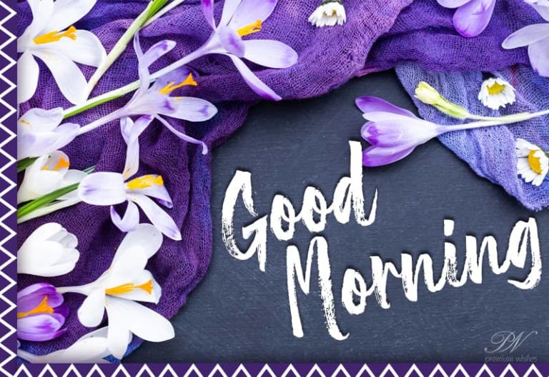 Good Morning – Smile and Enjoy Your Day Good Morning – Smile and Enjoy Your Day