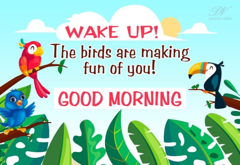 Wake up the birds are making fun of you – Good Morning