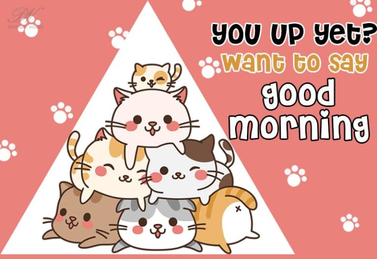 You up yet? want to say good morning