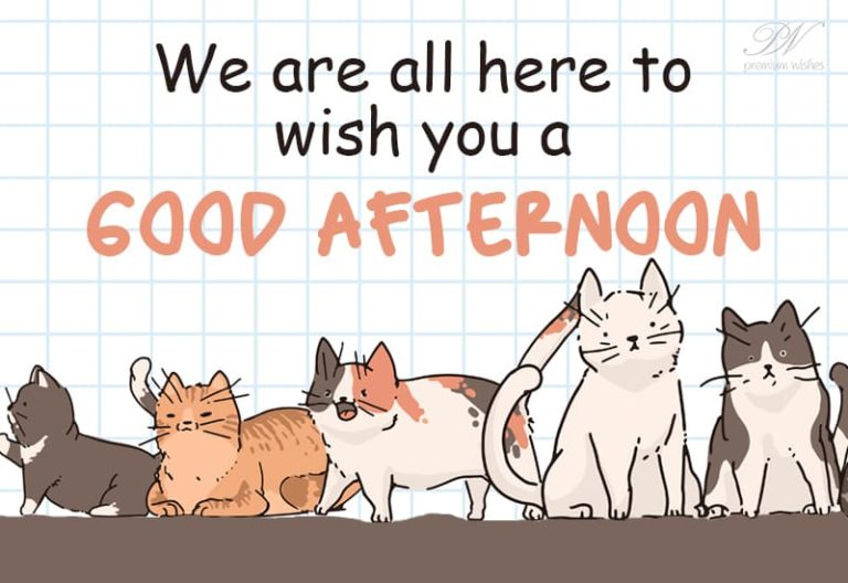 Good Afternoon Wishes