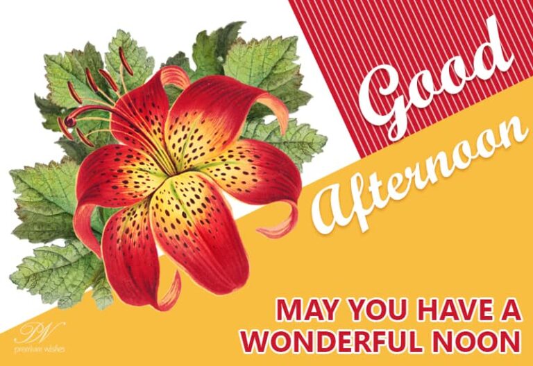 Good Afternoon Wishes