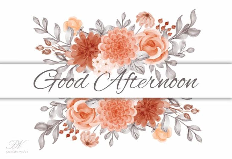 Good Afternoon Wishes