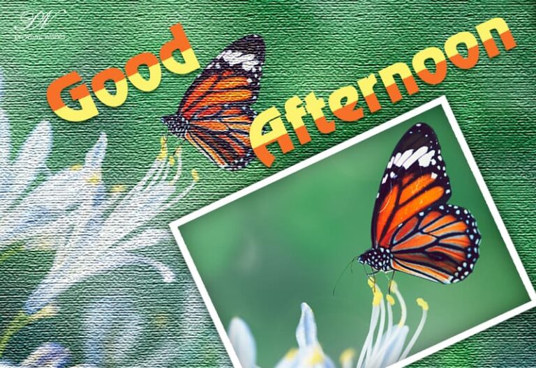 Good Afternoon – Have a happy noon and a great day ahead