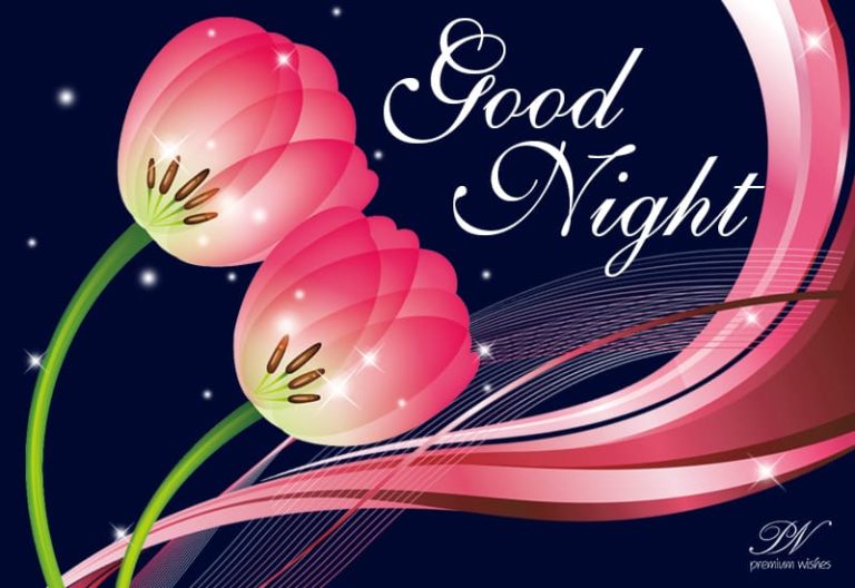 Good Night Wishes