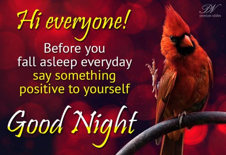 Good Night Wishes