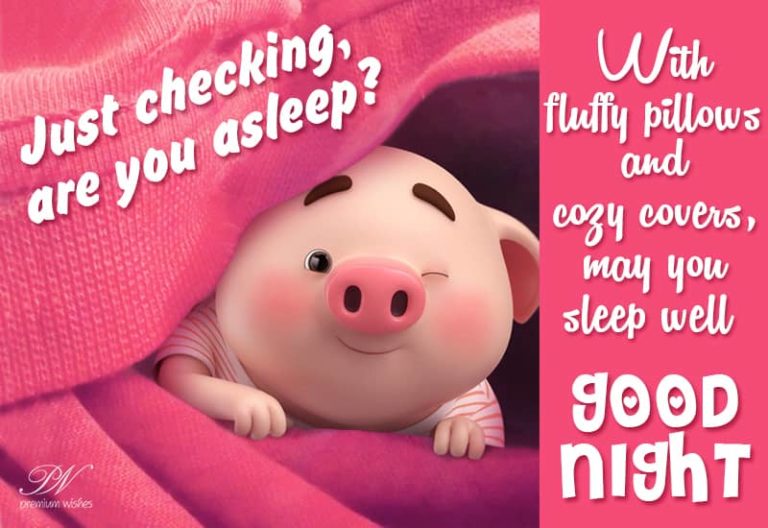 Good Night Wishes