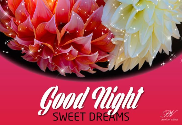 Good Night Wishes