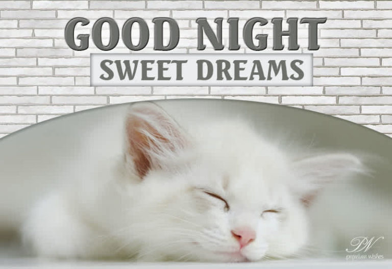 Good Night Wishes