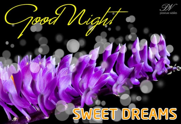 Good Night Wishes