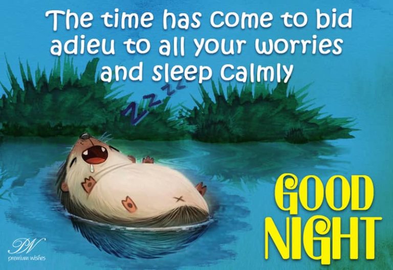 Good Night Wishes