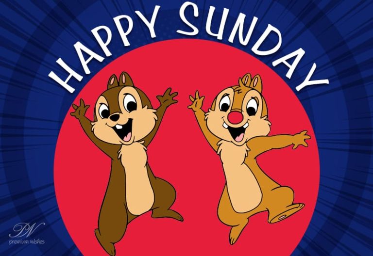 Happy Sunday – Enjoy The Day