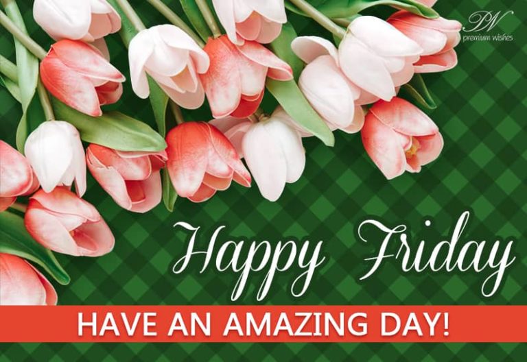 Happy Friday – Have an amazing day