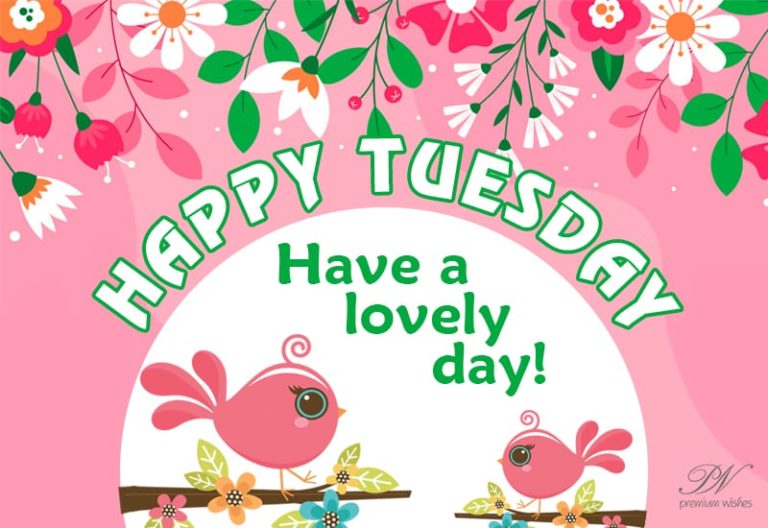 Happy Tuesday – Have a lovely day – Good Morning Happy Tuesday – Have a lovely day – Good Morning