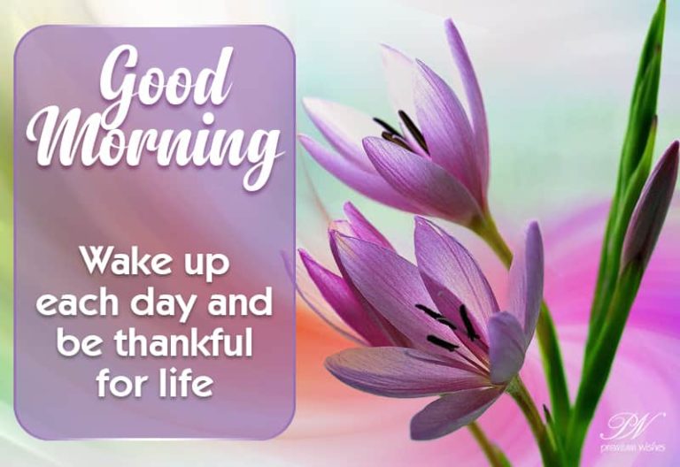 Good Morning – Wake up each day and be thankful for life Good Morning – Wake up each day and be thankful for life