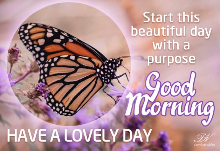 Start this beautiful day with a purpose – Good Morning – Have a lovely day Start this beautiful day with a purpose – Good Morning – Have a lovely day