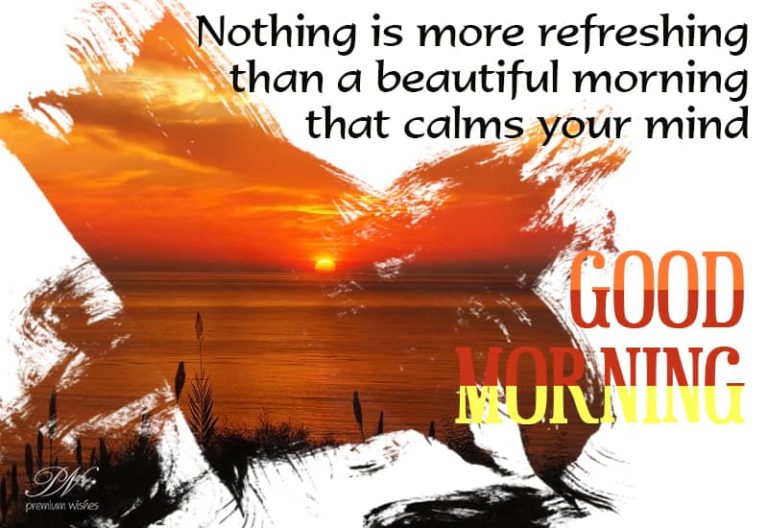 Nothing is more refreshing than a beautiful morning that calms your mind – Good Morning Nothing is more refreshing than a beautiful morning that calms your mind – Good Morning
