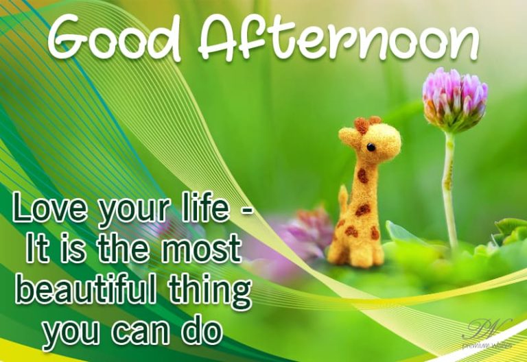 Good Afternoon Wishes