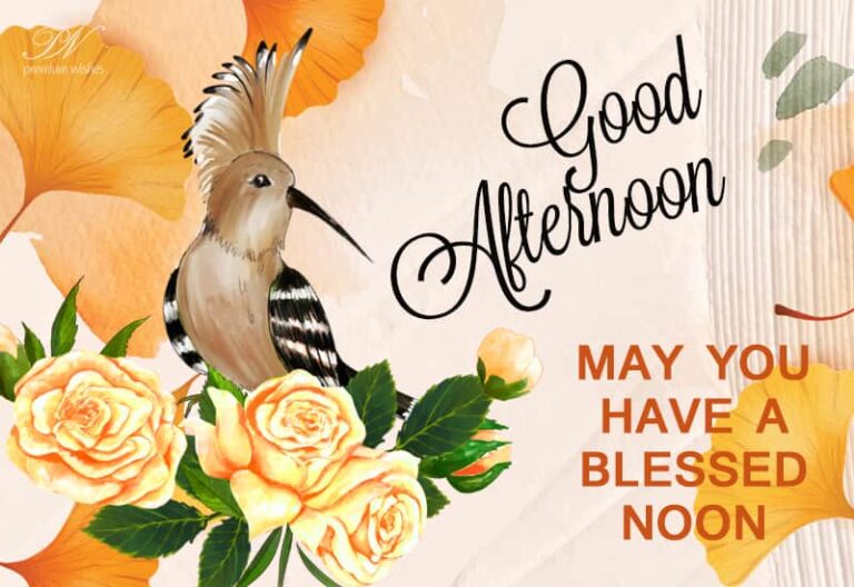 Good Afternoon Wishes