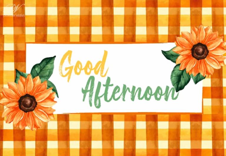 Good Afternoon Wishes