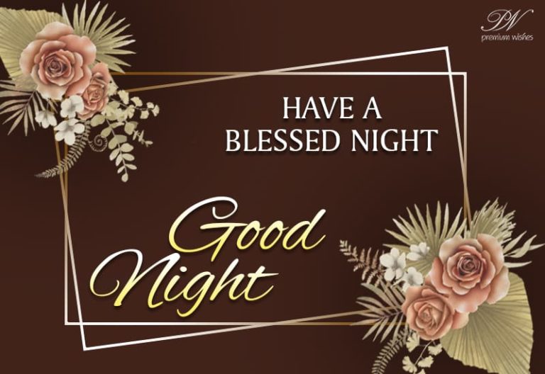 Have a blessed and good night