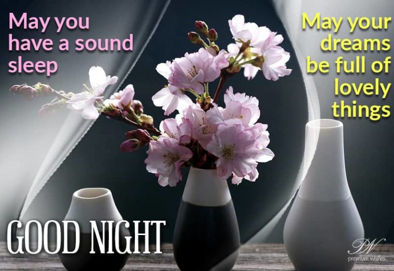 Good Night Wishes