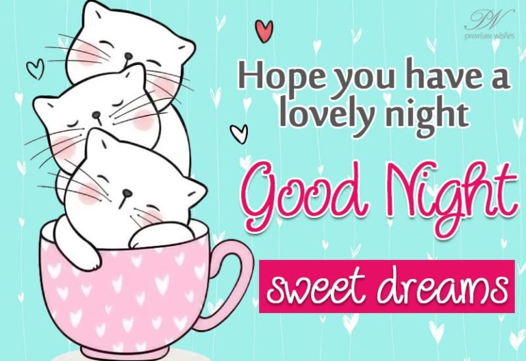 Good Night Wishes